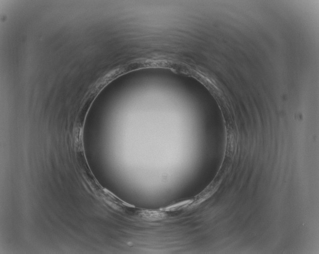 X0000081420429200702021632