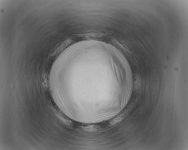 X0000081420430200702021632