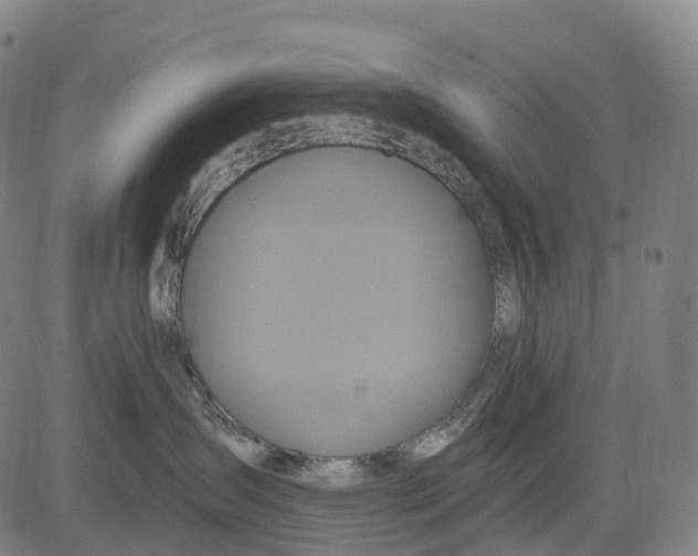 X0000081420431200702021632