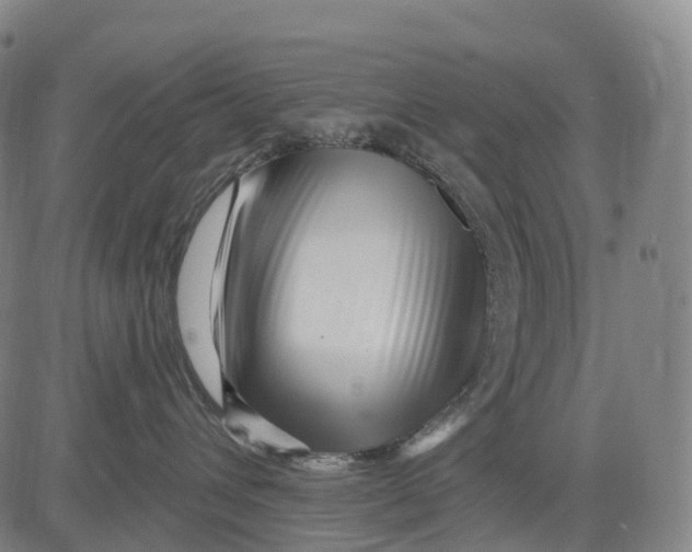 X0000081420432200702021632