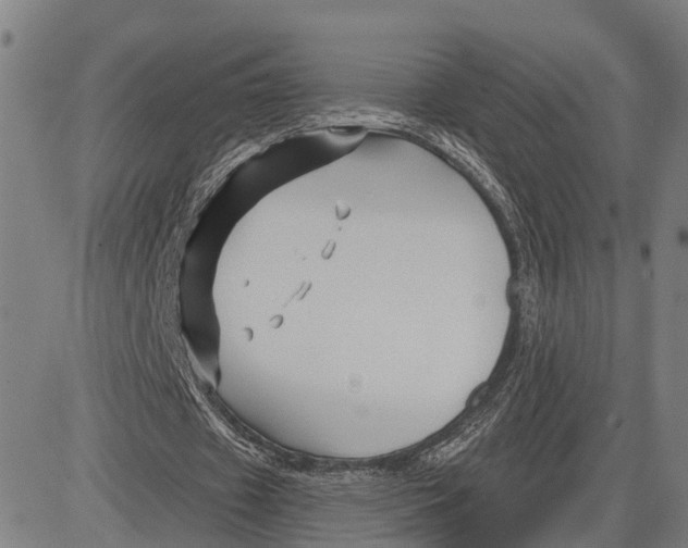 X0000081420433200702021631