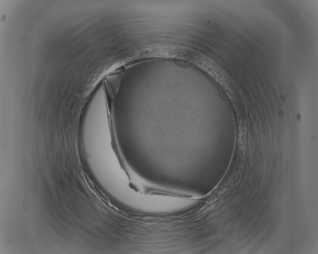 X0000081420434200702021631