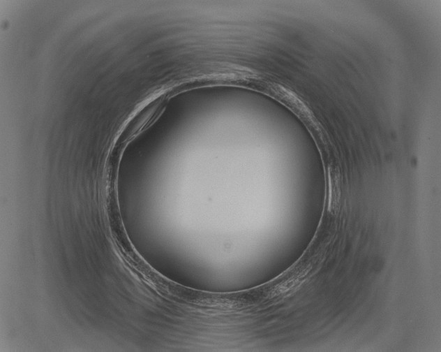 X0000081420435200702021631