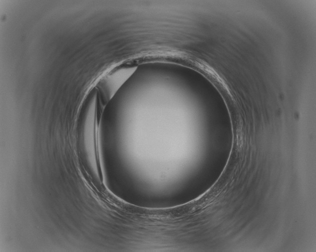 X0000081420436200702021631