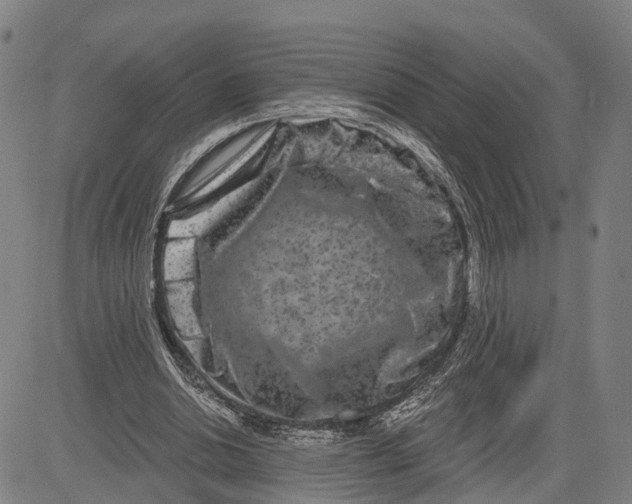 X0000081420438200702021631