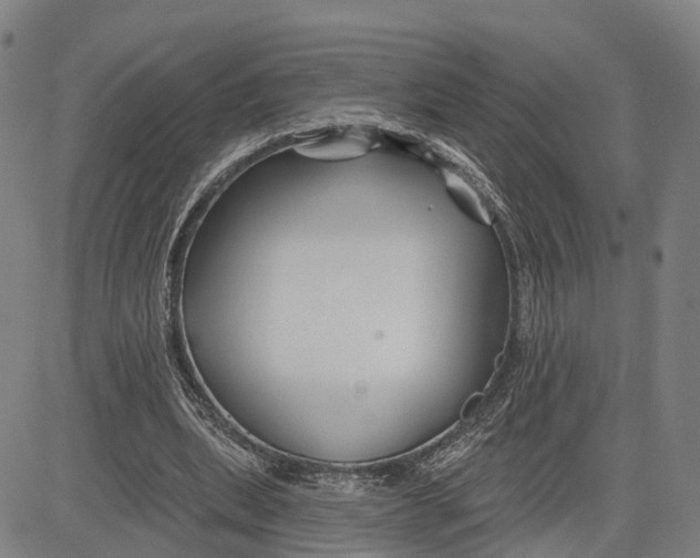 X0000081420439200702021631