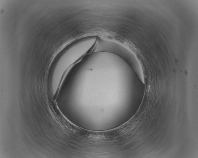 X0000081420440200702021631