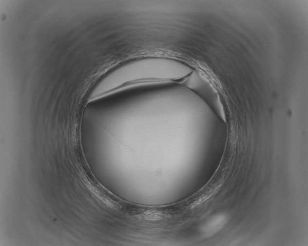 X0000081420441200702021631