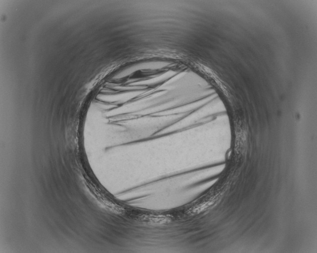 X0000081420443200702021631