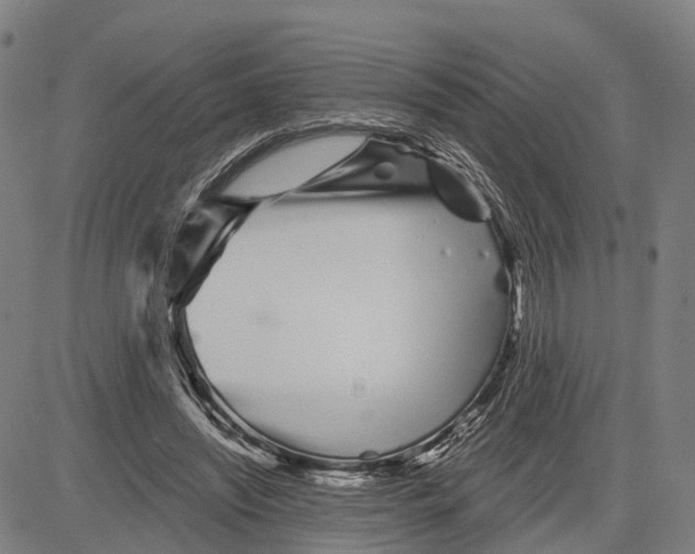 X0000081420444200702021631