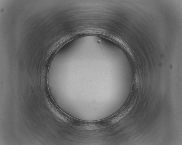 X0000081420445200702021631