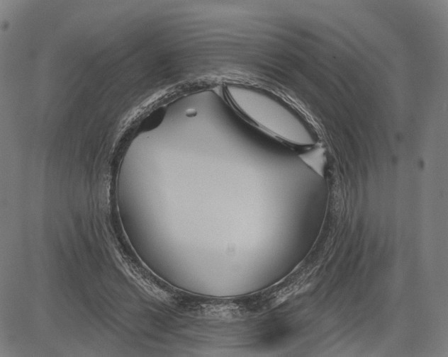 X0000081420446200702021631