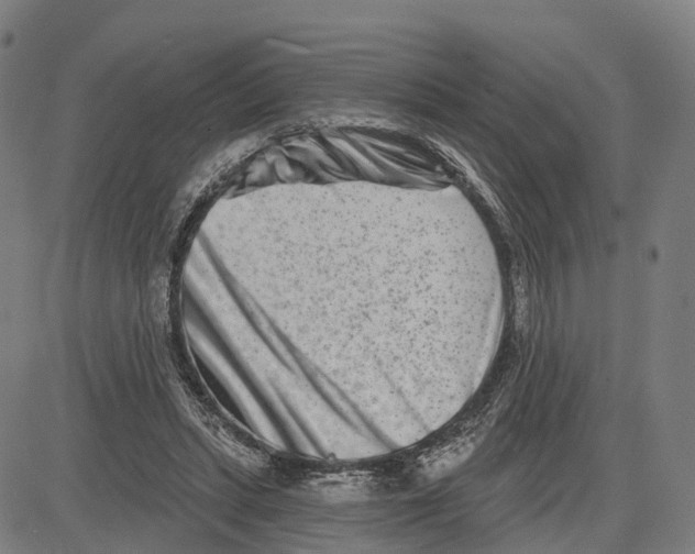 X0000081420447200702021631