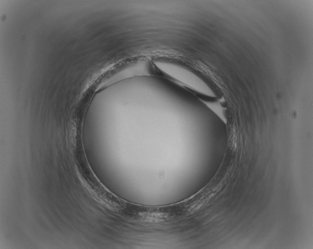 X0000081420448200702021631