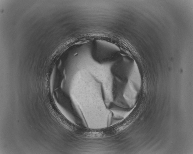 X0000081420449200702021631