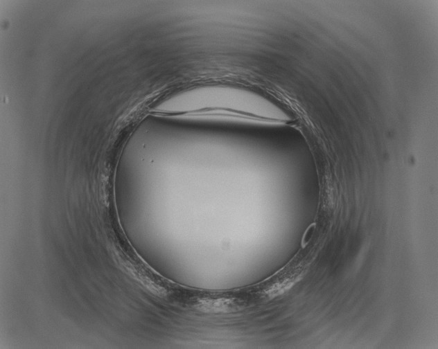 X0000081420450200702021631