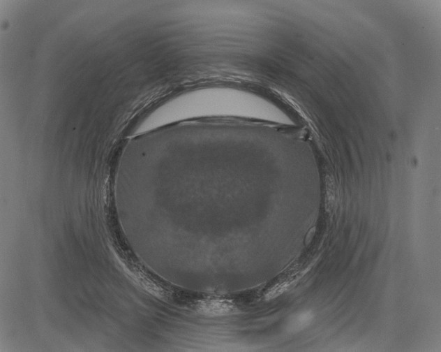 X0000081420451200702021631