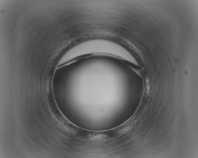 X0000081420452200702021631