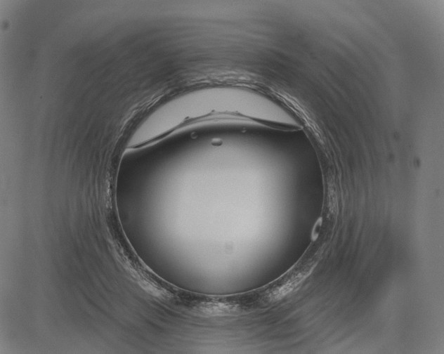 X0000081420453200702021631