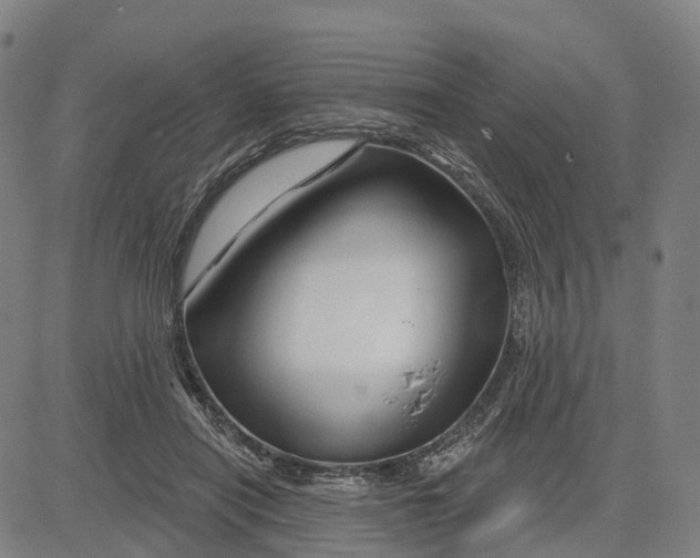 X0000081420454200702021631