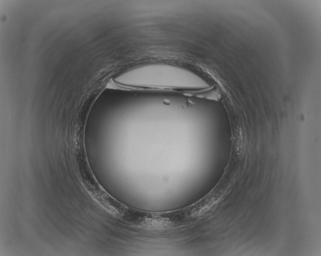 X0000081420455200702021631