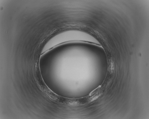 X0000081420456200702021632