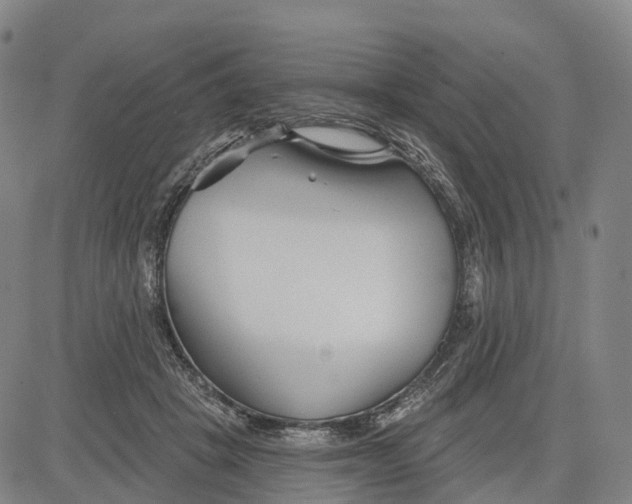 X0000081420457200702021632