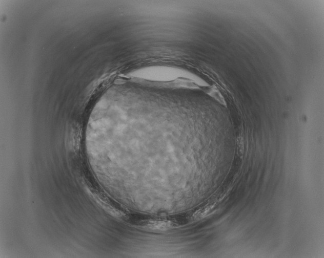 X0000081420458200702021632