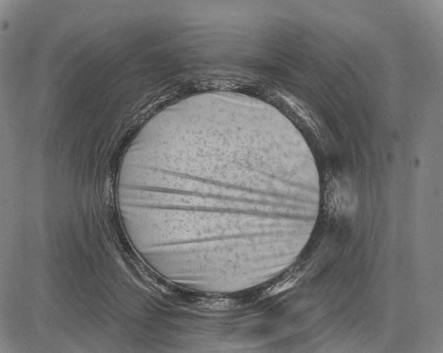 X0000081420459200702021632