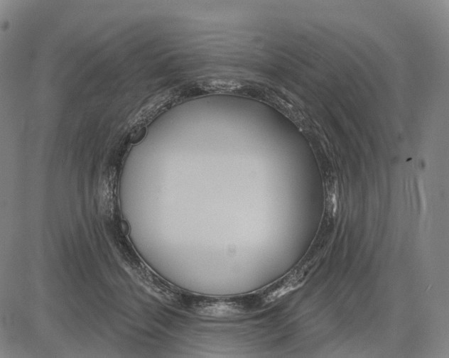 X0000081420460200702021632