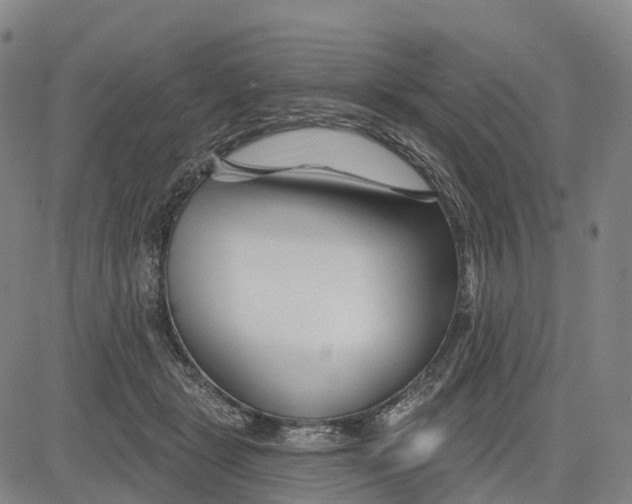 X0000081420461200702021632