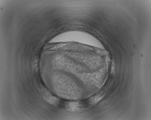 X0000081420462200702021632