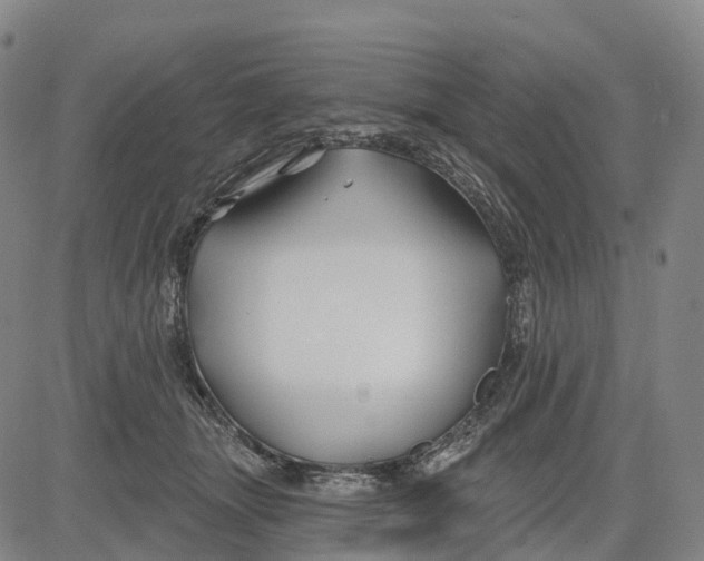 X0000081420463200702021632