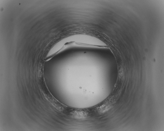 X0000081420464200702021632