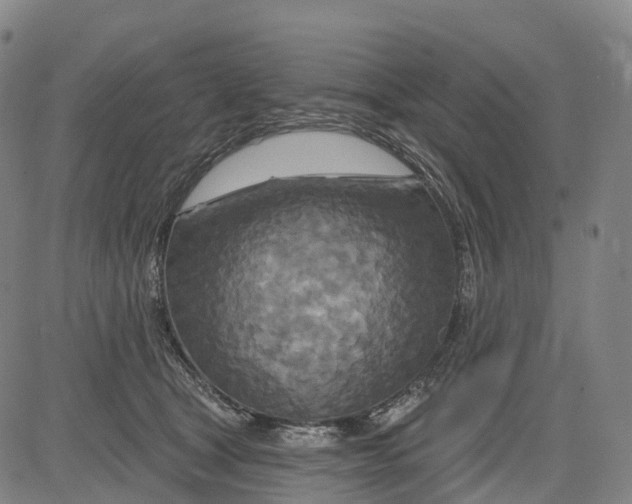 X0000081420465200702021632