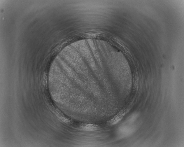 X0000081420467200702021632