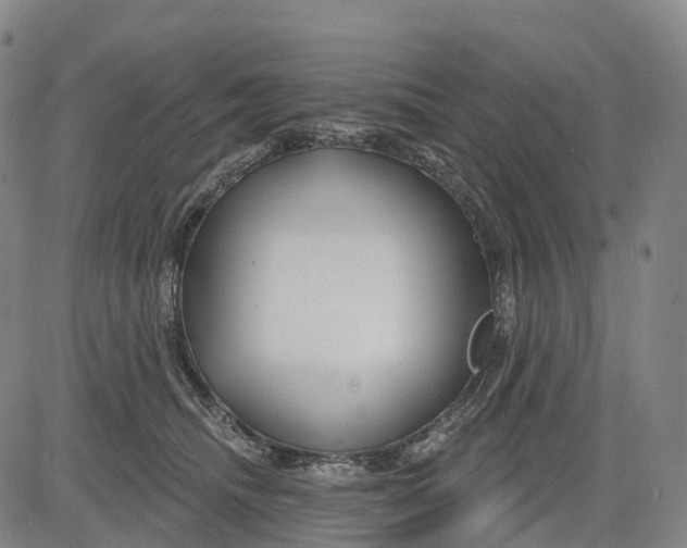 X0000081420468200702021632