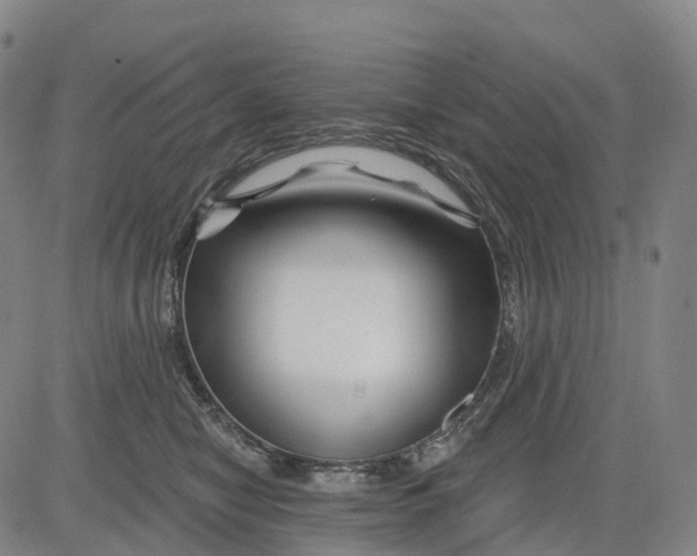 X0000081420470200702021632