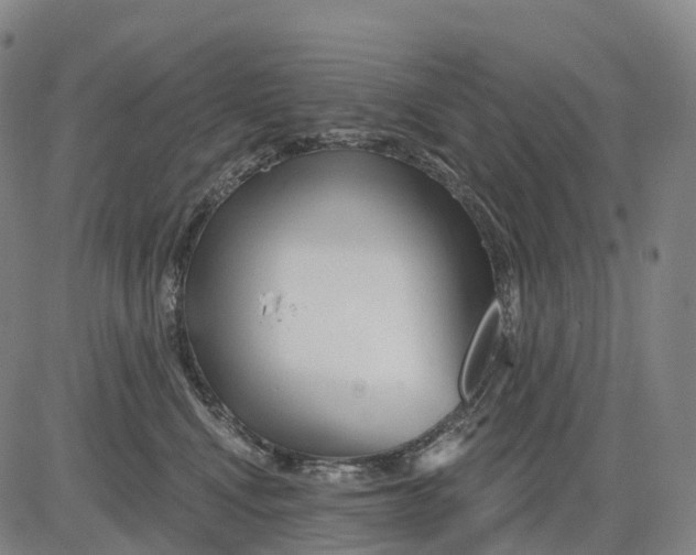 X0000081420472200702021632