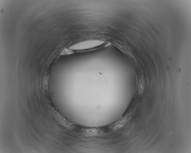 X0000081420473200702021632