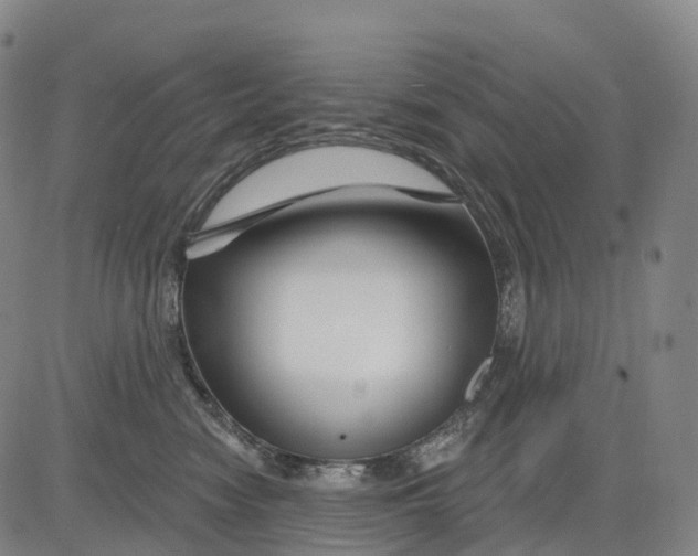 X0000081420474200702021632