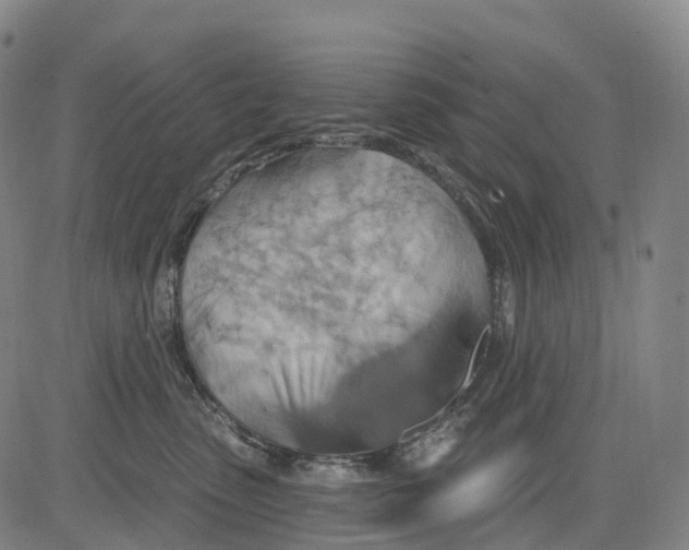 X0000081420475200702021632