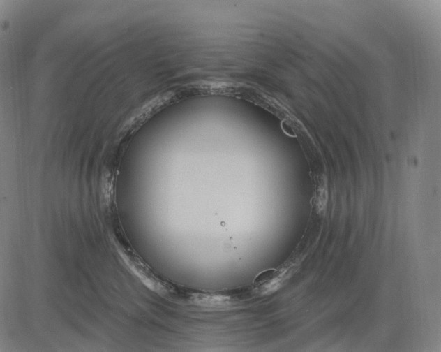 X0000081420476200702021632