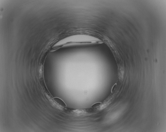 X0000081420477200702021632