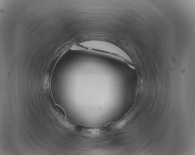 X0000081420478200702021632