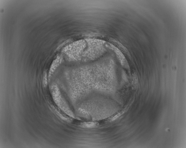 X0000081420479200702021632