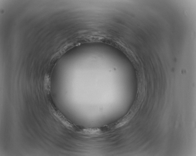 X0000081420480200702021632