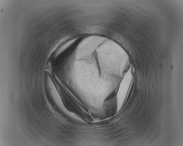 X0000081420482200702021631