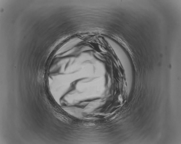 X0000081420483200702021631