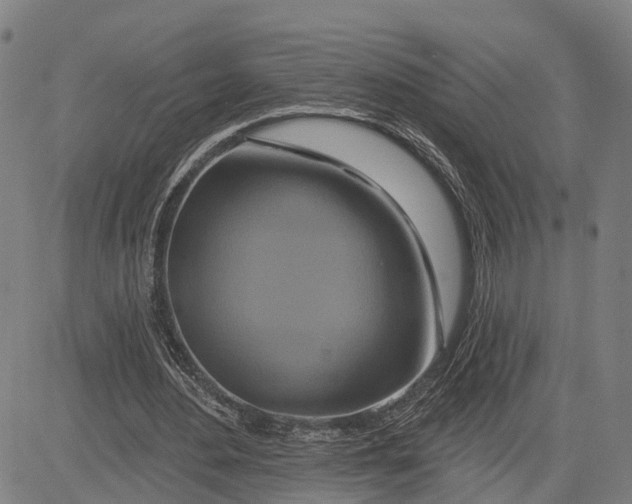 X0000081420484200702021631